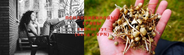 кристаллы Инта