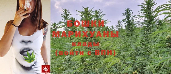 кристаллы Инта