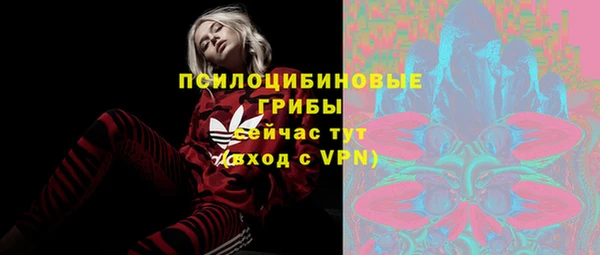 mdpv Инсар