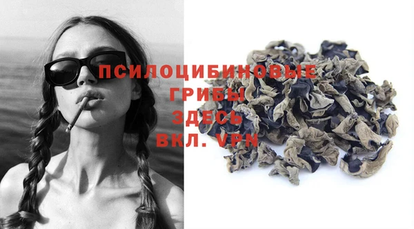 кристаллы Инта