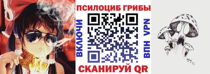 hydra маркетплейс  Кызыл  Псилоцибиновые грибы Psilocybine cubensis 